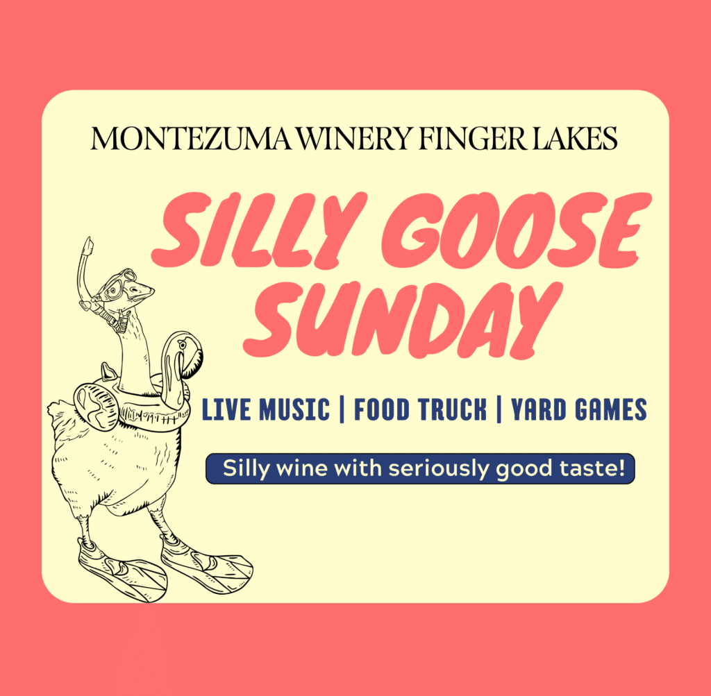 Silly_goose_sunday_MTZFLX