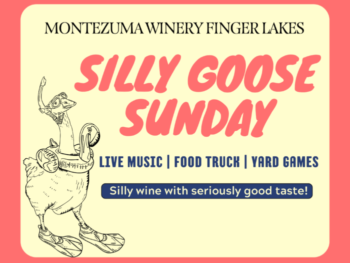 Silly Goose Sunday