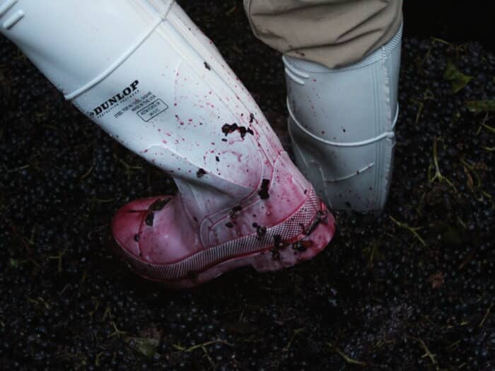 Martin Family Nouveau’s: Our Unique Spin on a Wine World Tradition