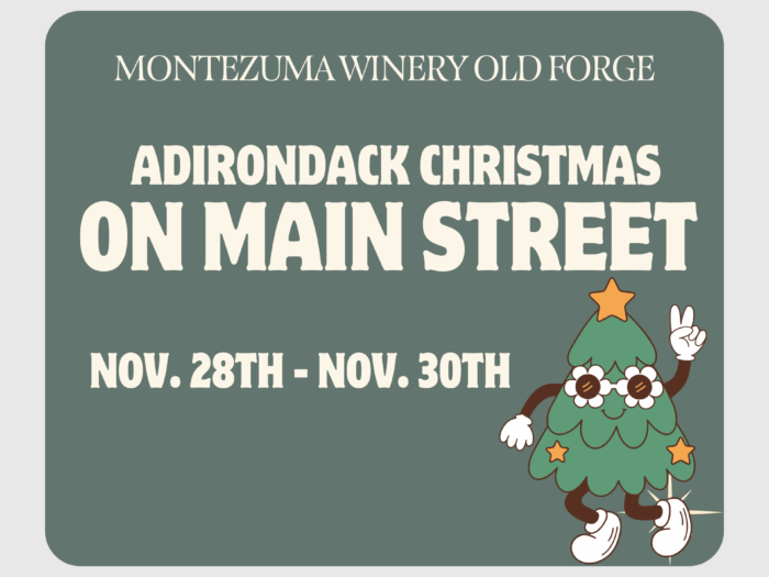 Adirondack Christmas On Main Street