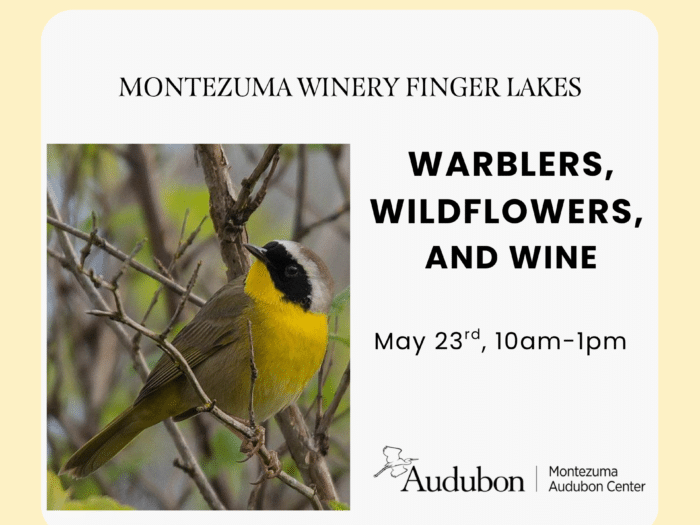 Warblers, Wildflowers,  and Wine